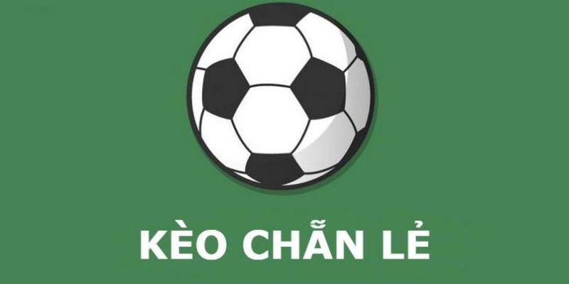 Loại hình này được ưa chuộng bởi tính đơn giản