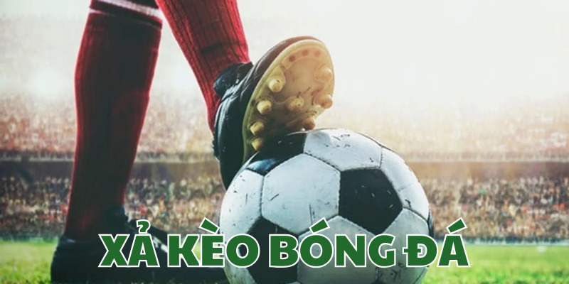 Avatar Xả kèo bóng đá 188BET