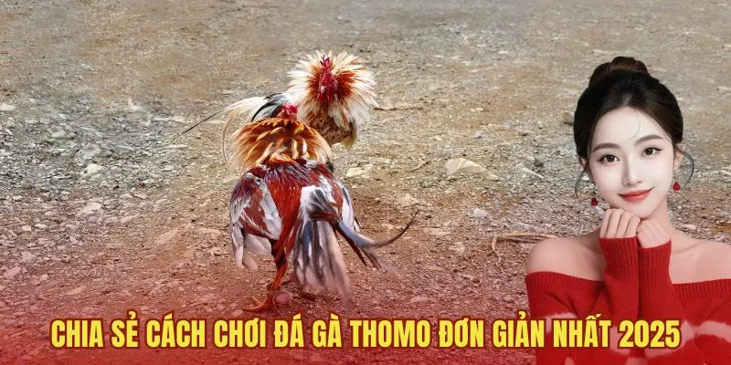 Chia sẻ cách chơi của những loại hình phổ biến nhất tại trường gà Thomo