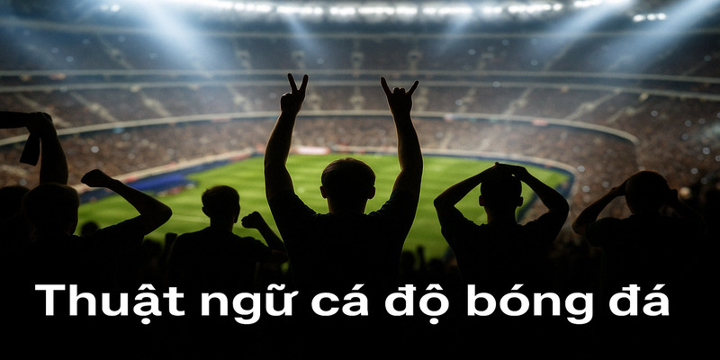 Các thuật ngữ cá độ bóng đá tại 188BET